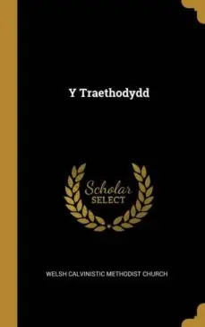 Y TRAETHODYDD Precio Económico
