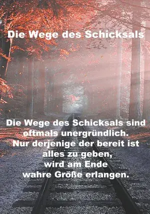 Wege Des Schicksals Bestseller