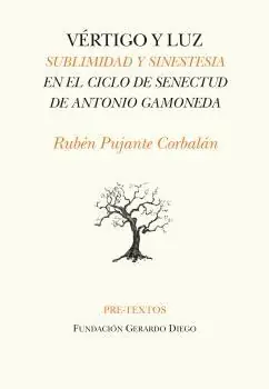 Vértigo y Luz "Sublimidad y Sinestesia en la Poesía de Antonio Gamoneda" Comprar En Línea