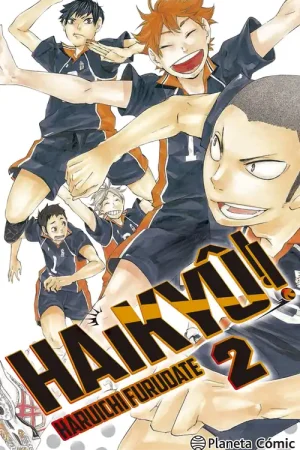 Venta Final Haikyú !! Nº 02