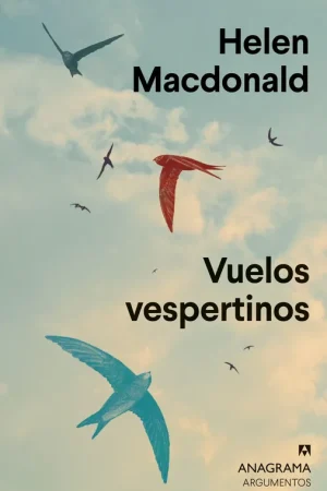 Vuelos Vespertinos Precio Reducido