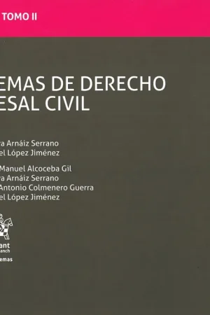 Alta Calidad Esquemas de Derecho Procesal Civil