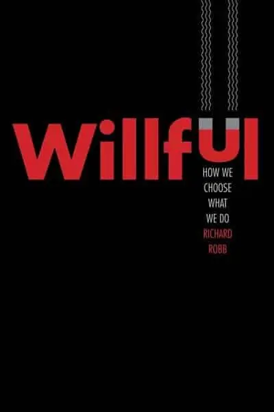 Willful Pago Seguro